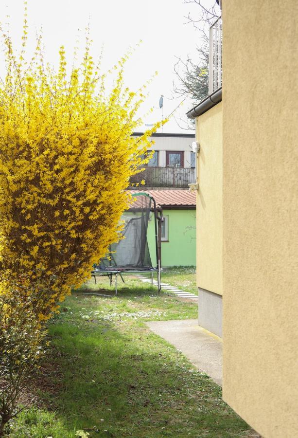 Small-Comfy Guest House In Donaustadt Garden - Not Shared! 维也纳 外观 照片