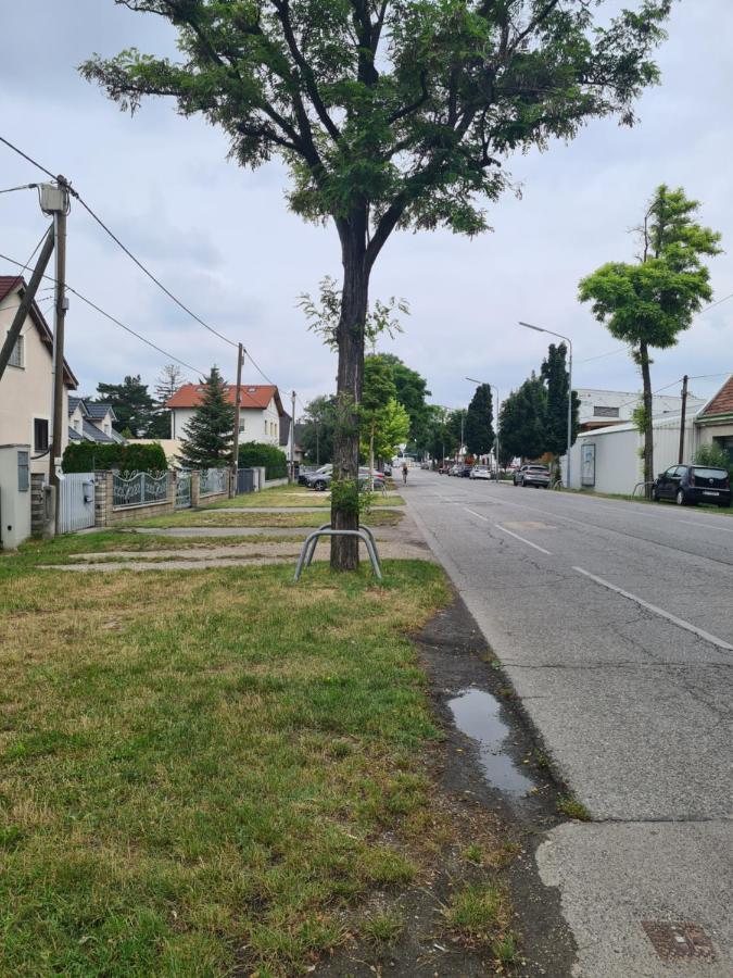 Small-Comfy Guest House In Donaustadt Garden - Not Shared! 维也纳 外观 照片